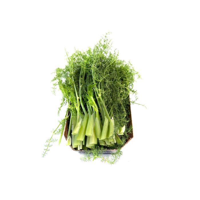 0092982