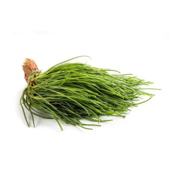 Le selezioni P&V Agretti mazzo