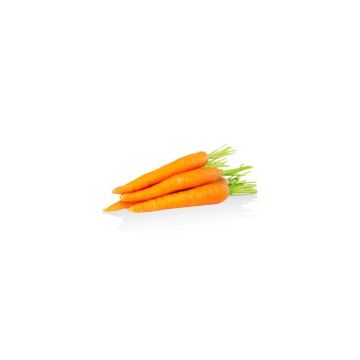carote-bio-frutti-del-sole