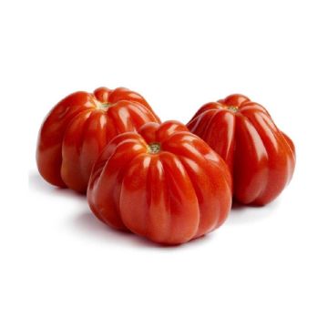 le-selezioni-pv-pomodoro-cuore-di-bue-500g