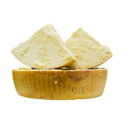 nuovo_progetto_-_2023-10-05t112946