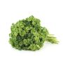 prezzemolo-riccio