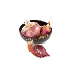 000053540-le-selezioni-p_v-cipolla-rossa