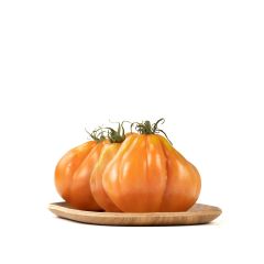 000057468-le-selezioni-p_v-pomodoro-verde-cuore-bue