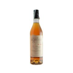 bordeneuve-armagnac-trois-etoiles-70cl