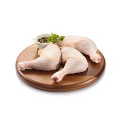 nuovo_progetto_-_2023-09-01t095625