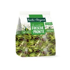 nuovo_progetto_-_2023-10-10t161837