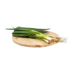 p_v_scalogno_cipolla_lunga_1